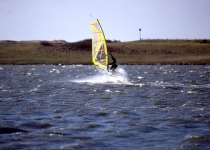 martin