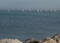 DSCF3803